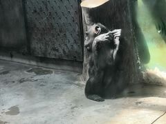 -石家庄市动物园