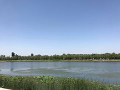 -素心小筑(后沙裕镇店)