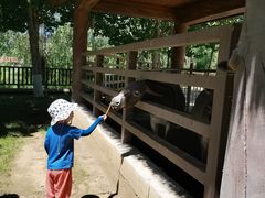 -北戴河集发农业梦想王国