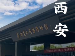 -秦始皇帝陵博物院(兵马俑)