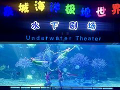 -泉城欧乐堡海洋极地世界