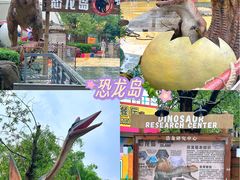 -海合安武汉极地海洋公园