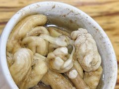 -广达眼镜炖罐(广达店)