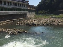 -鹿亭中村