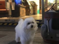 -星巴克(万都店)