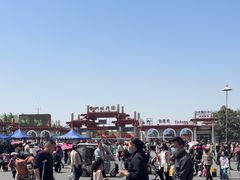 -曹州牡丹园