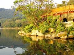 -深圳仙湖植物园