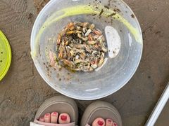 -东戴河风景区-止锚湾