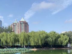 -团结湖公园