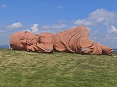-龙里油画大草原旅游区
