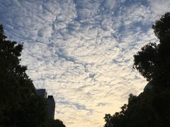 -上海海事大学(临港校区)