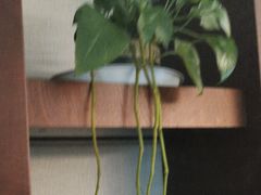 -壹品轩(转塘之江一号店)