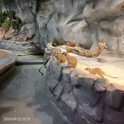 -Zoolung Zoolung动物主题公园(海信广场店)
