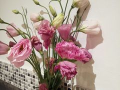 -山茶云南菜(中关村店)