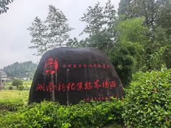 -紫鹊界梯田景区