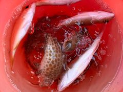 -亚龙湾海底世界