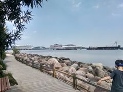 -滨江森林公园-真人CS野战场