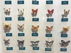 -陕西自然博物馆