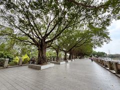 -黄埔古港