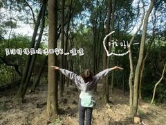 -火炉山森林公园