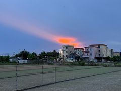 -辉记虾塘海鲜农庄