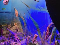-浙江自然博物院(杭州馆)