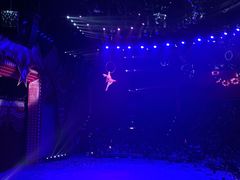 -珠海横琴长隆《卡卡虎奇遇记》