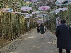 -苏州太湖国家湿地公园