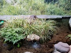 -鹿儿岛水族馆