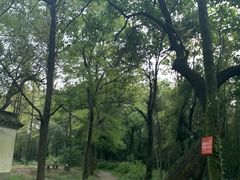 -西湖风景区十里琅珰-五云山