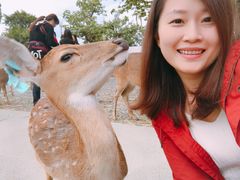 -鹿境梅花鹿生态园区