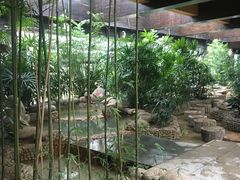 -三江森林温泉度假区