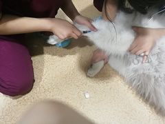 -芭比堂宠物医院·全科爱猫医院·仁德分院