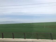 -德禄酸奶(莫家街店)