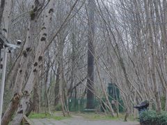 -西溪南古村落