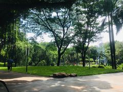 -晓港公园