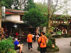 -青城甲(青城山店)