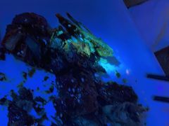 爱啤特色烤鸭-爱啤精酿·民谣酒馆(滨江店)