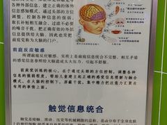 -小岳飞儿童感统·注意力训练馆(金四季店)