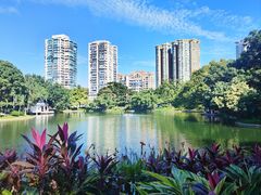 -晓港公园