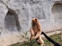 -杭州野生动物世界