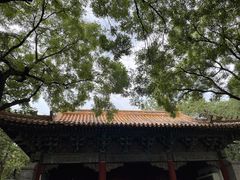 -北京国子监胡同