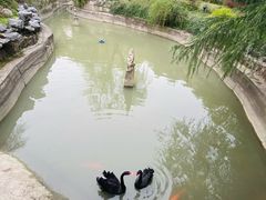-上海虹桥迎宾馆