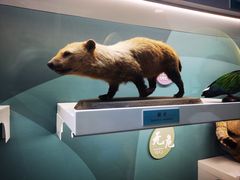 -国家自然博物馆