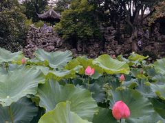 -苏州环秀晓筑养生度假村