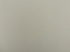 -福缘烤肉王自助(爱琴海-原比尔森店)