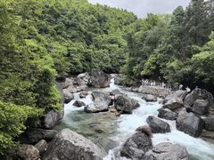 -石台牯牛降景区