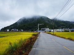 -小皓村