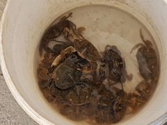 -兴城海滨风景区