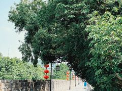 -南京城墙景区